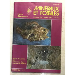 MINERAUX ET FOSSILES GEOLOGIE ET GRANDS TRAVAUX LE CANTON DE...