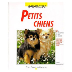 Petits Chiens - Des Séducteurs À La Personalité Affirmée