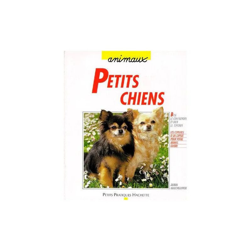 Petits Chiens - Des Séducteurs À La Personalité Affirmée