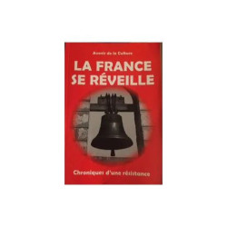 AVENIR DE LA CULTURE -LA FRANCE SE REVEILLE -CHRONIQUE D'UNE...
