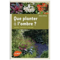 Que Planter À L'ombre ? - Jardins Terrasses Et Balcons
