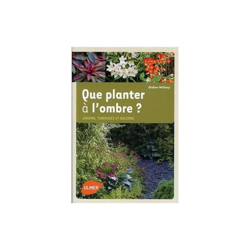 Que Planter À L'ombre ? - Jardins Terrasses Et Balcons