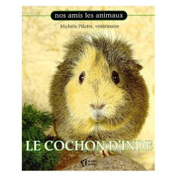 Le Cochon D'inde