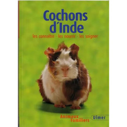 Cochons D'inde
