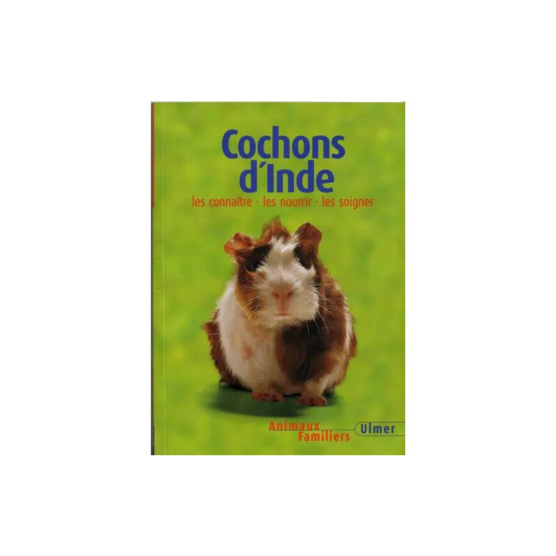 Cochons D'inde
