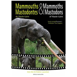 Mammouths Et Mastodontes De Haute-Loire