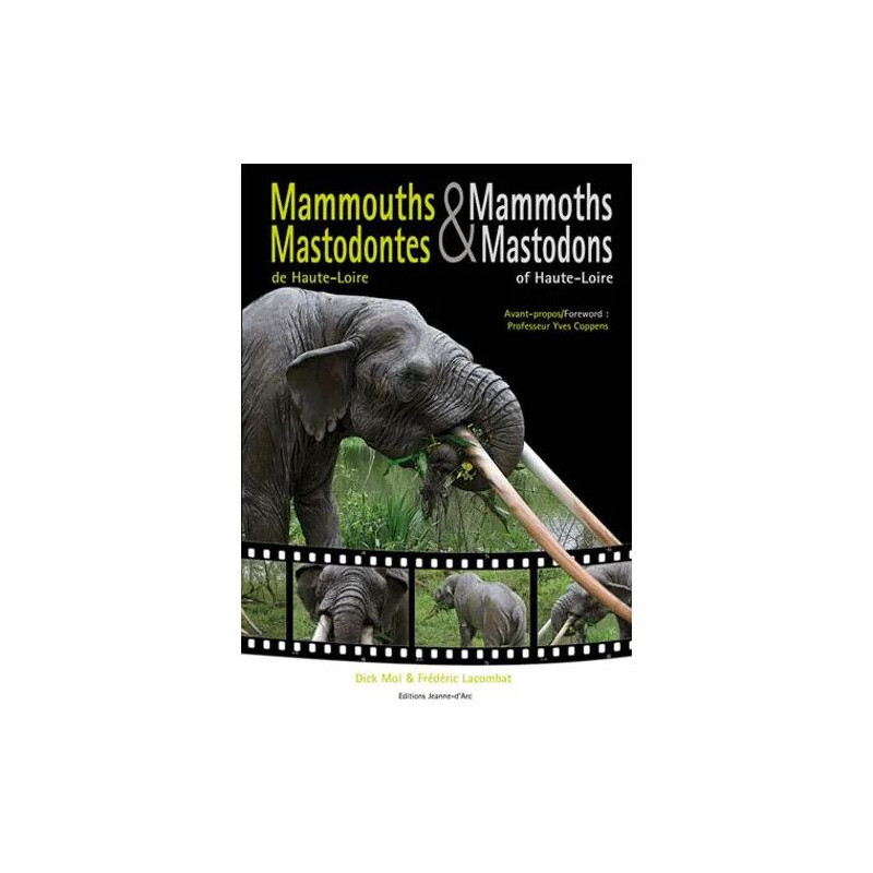 Mammouths Et Mastodontes De Haute-Loire
