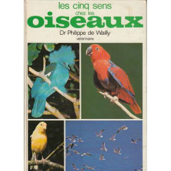 Les Cinq Sens Chez les Oiseaux