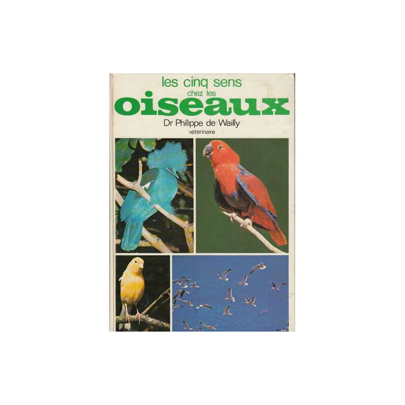 Les Cinq Sens Chez les Oiseaux