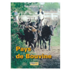 Pays De Bouvine