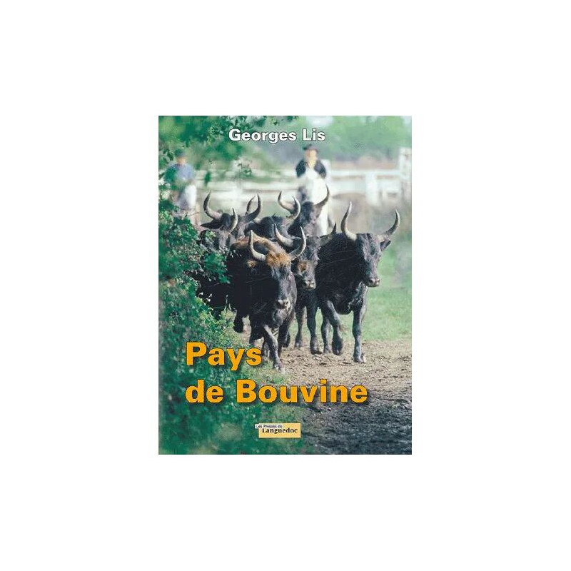 Pays De Bouvine