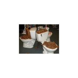 La Cuisine Auvergnate - Traditionnelle Et Moderne