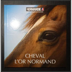 Cheval l'or Normand