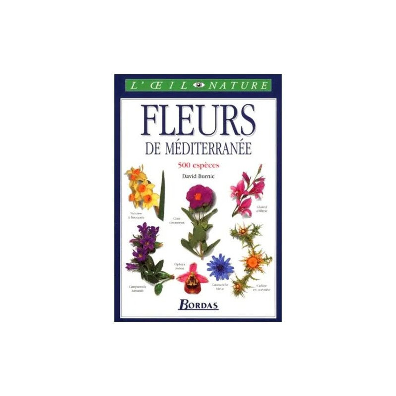 Fleurs De Méditerranée