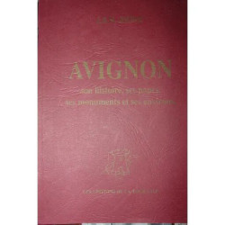 Avignon son histoire ses papes ses monuments et ses environs