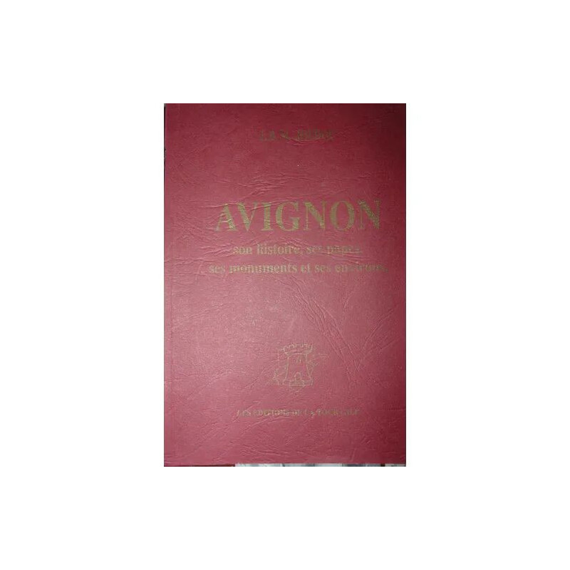 Avignon son histoire ses papes ses monuments et ses environs