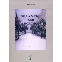 De la neige sur Arcachon
