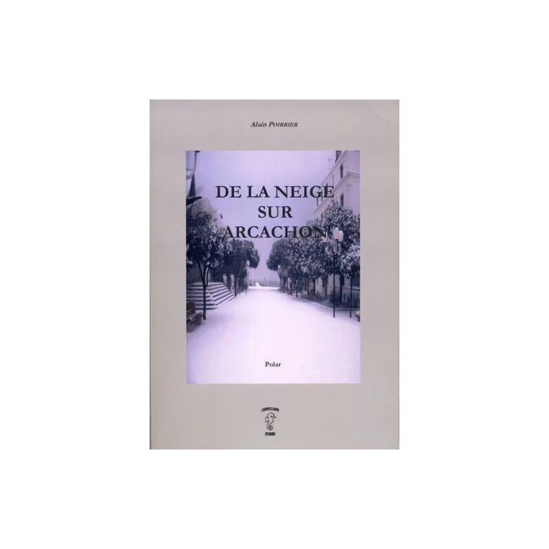 De la neige sur Arcachon