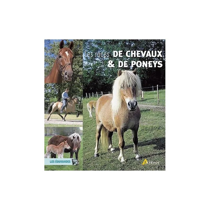 Les Races De Chevaux Et De Poneys