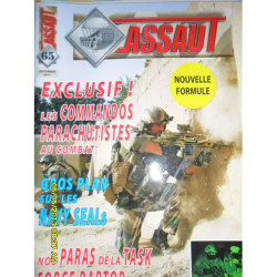Assaut 65