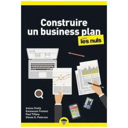 Construire Un Business Plan Pour Les Nuls