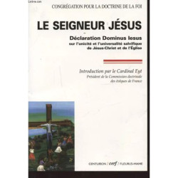 Le Seigneur Jesus Declaration Dominus Lesus Sur L Unicite Et L...