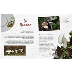 Champignons oubliés Les chefs passent à table
