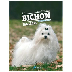 Le Bichon Maltais
