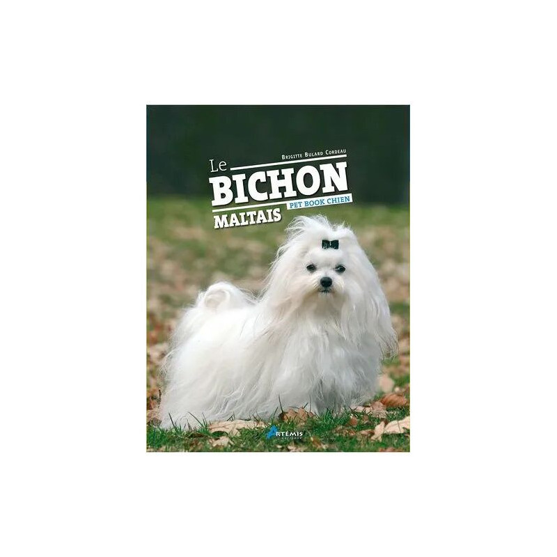 Le Bichon Maltais