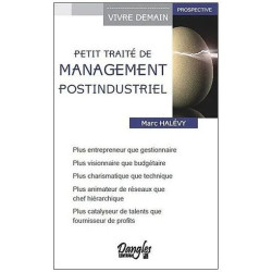 Petit Traité De Management Postindustriel