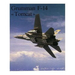 Grumman F 14 Tomcat