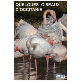 Quelques Oiseaux D'occitanie