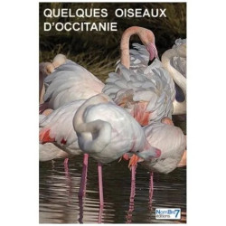 Quelques Oiseaux D'occitanie