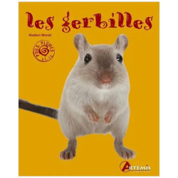 Les Gerbilles