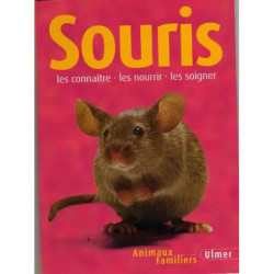Souris