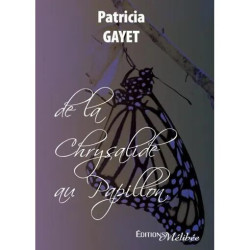 DE LA CHRYSALIDE AU PAPILLON