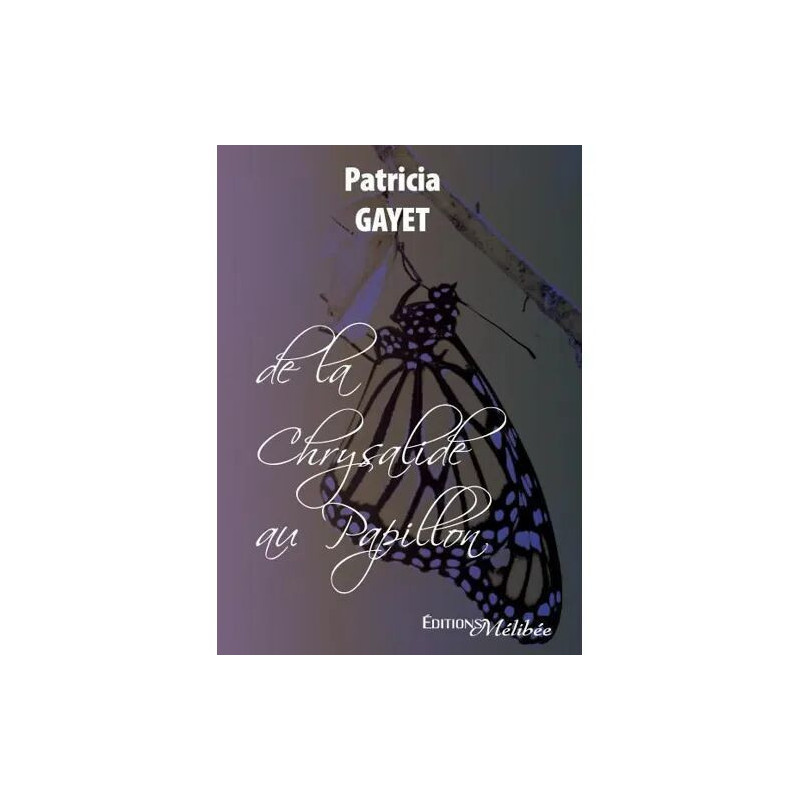 DE LA CHRYSALIDE AU PAPILLON