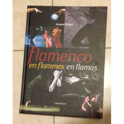 flamenco en flammes en llamas