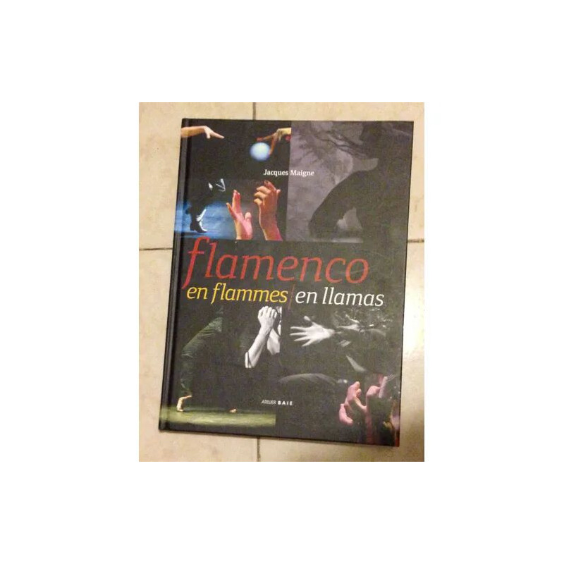 flamenco en flammes en llamas