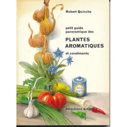 Petit guide panoramique des plantes aromatiques et condiments