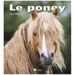 Le Poney
