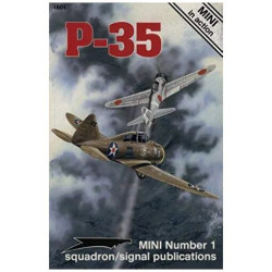 Seversky P-35 - MINI in action No. 1