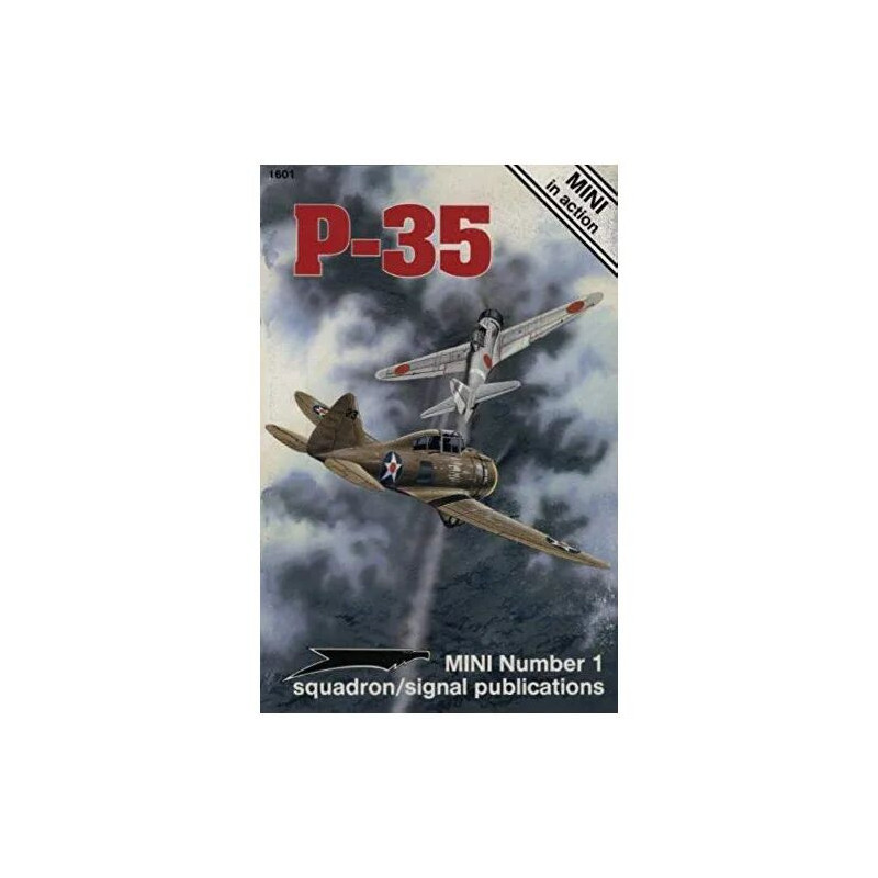 Seversky P-35 - MINI in action No. 1