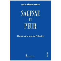 Sagesse Et Peur - Macron Et Le Sens De L'Histoire