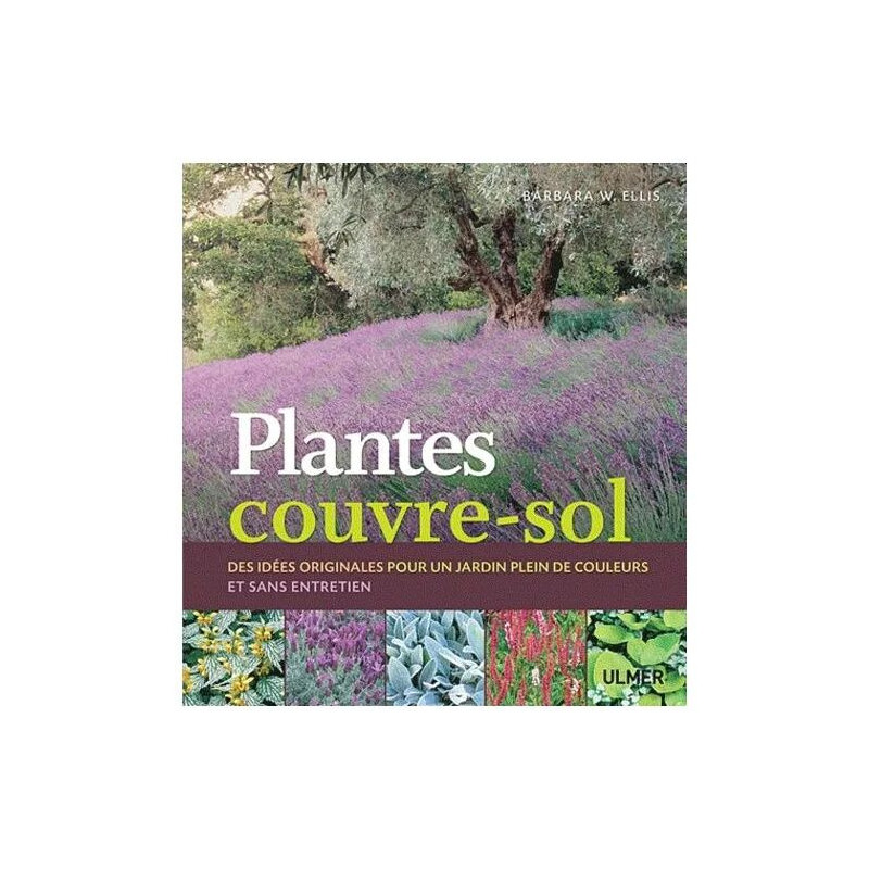 Plantes Couvre-Sol - Des Idées Originales Pour Un Jardin Plein De...