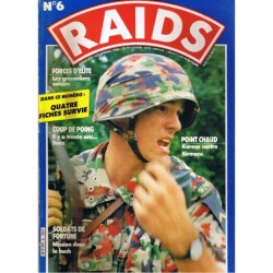 raids N° 6 : les grenadiers suisses - soldats de fortune - fiches...