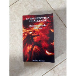 INTROSPECTION CHALLENGE RENAISSANCE DU PHENIX