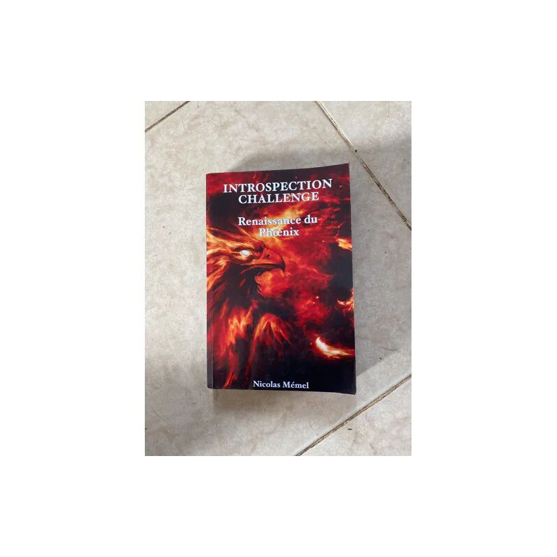 INTROSPECTION CHALLENGE RENAISSANCE DU PHENIX