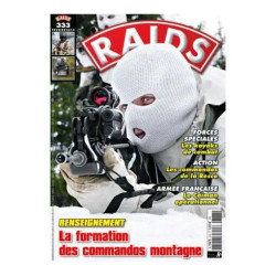 RAIDS N °333