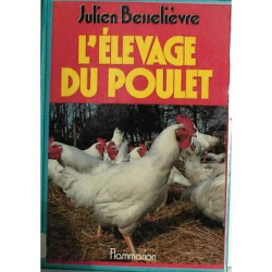 L'élevage du poulet